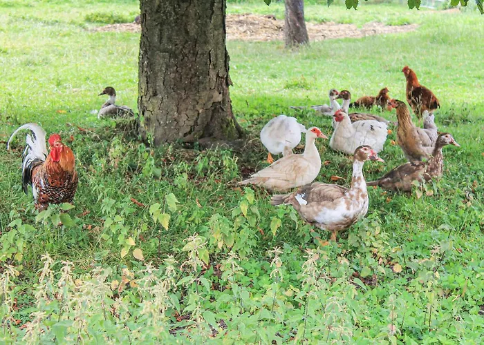 3 Bedroom Cozy Home In Thandorf *